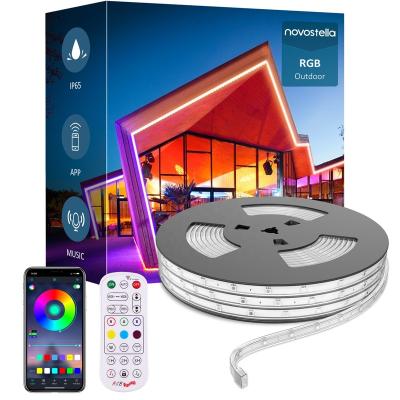 China LANDSCAPE 16M RGB LED Strip Lights Color Changing BT LED Light Strip, APP and Remote Control Lights for sale