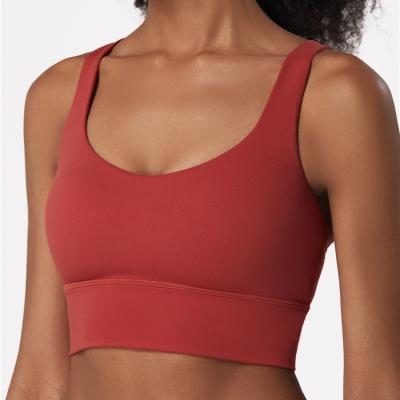 China Breathable Lace-up Sports Bra Women's Quick-Drying YOGA Women's Spandex Fabric Wireless Padded Top Padded Top for sale