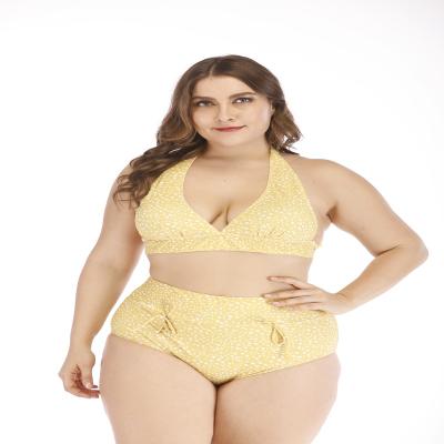 China 2020 Breathable Women Fashion Yarn Yellow Dot Strap Halter Bikini Swimwear Swimwear Plus Size Free Bikini for sale