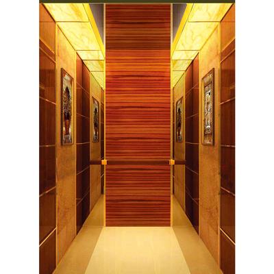 China Small Contemporary Residential Elevator Passenger Elevator For 2 Person , Office Building Used Passenger Elevator for sale