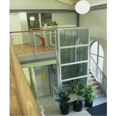 China Contemporary high quality luxury villa elevator for sale, price in china elevators small home elevator villa for sale