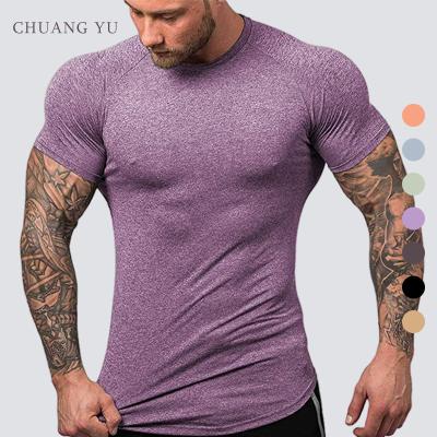 China 2022 CHUANGYU Men's Breathable Sportswear Training Top Breathable Quick Dry Fitness Shorts Summer Slim T-shirt Sleeve For Running for sale