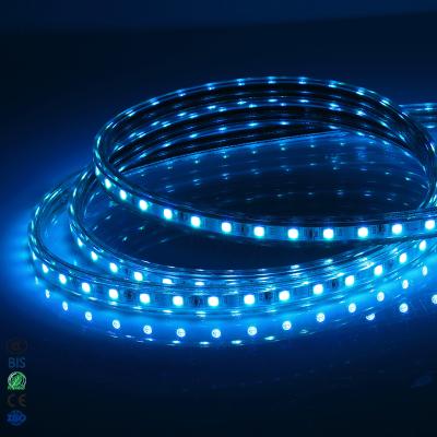 China 220V LANDSCAPE Color Changing Waterproof Flexible Light For Decoration Led Strip Light, RGB Led Strips, 5050 RGB Led Strip Light for sale