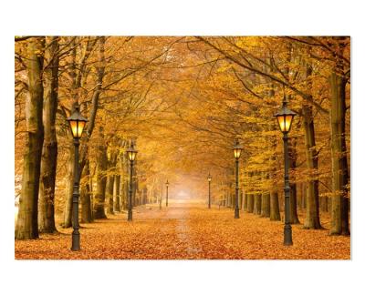 China Custom Print Forest Autumn Landscape Painting LED Modern Canvas Gold Landscape for sale