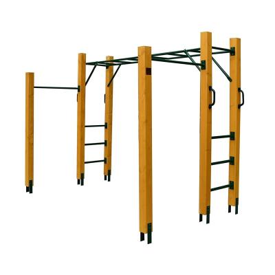 China Kids Outdoor Playground Circuit Course Warrior Monkey Bar Kit Wood and Steel Monkey Bar with Gymnastics Bar for sale