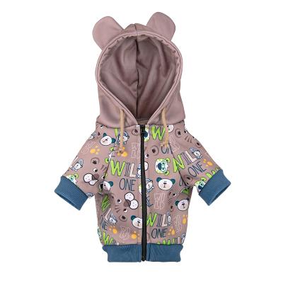 China Sustainable OEM Customized Pet Hoodies Dog Hoody Dog Clothes Manufacturer & Supplier for sale