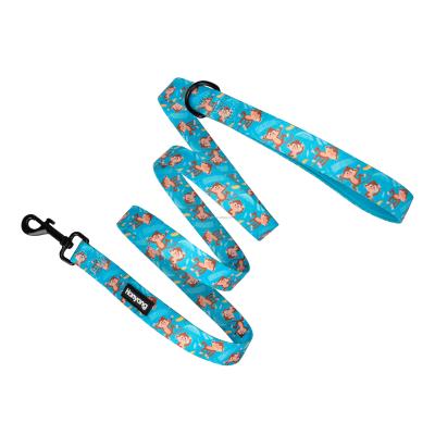 China Custom Wholesale Custom Classic Polyester Dog Pet Supply Durable Leash for sale