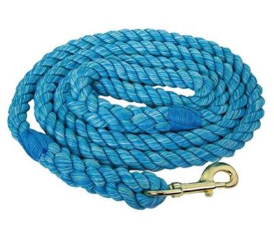 China 2021 New Released Colorful Premium Padded Dog Cotton Rope Leash From OEM Manufacturer ISS for sale