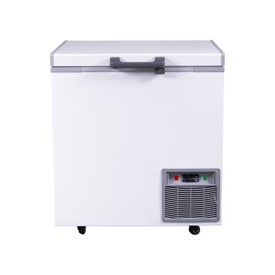 China Other Plasma Freezer Wholesale Cold Storage Room Freezer -86C Industrial Freezer for sale