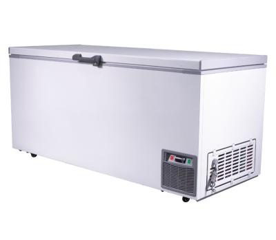 China 768L Large Capacity Low Temperature Horizontal Commercial Freezer -40 Commercial Refrigerator Ice Cream Freezer for sale