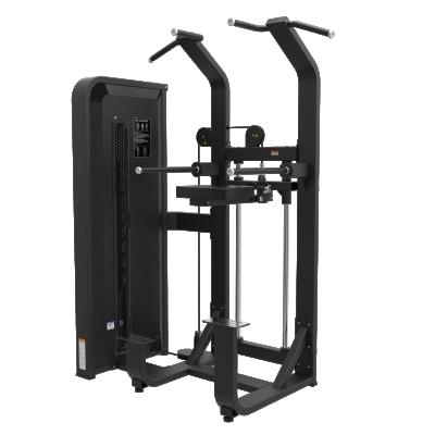 China Eco-friendly Commercial Gym Equipment Immersion Chin Assist Function Strength Machine For Gym Exercise for sale