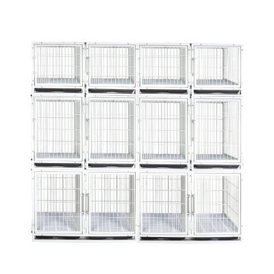 China Puppy Viable Animal Show Clinic Kennel Wire Building Cat Crates Crates Powder Coated Modular Collapsible Dog Crates for sale