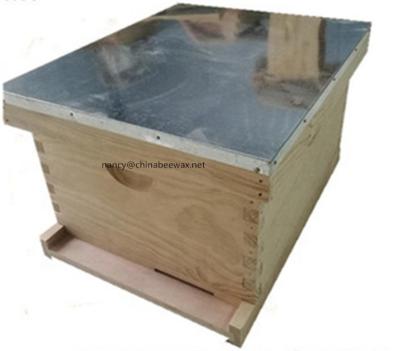 China Bee Farm Langstroth Hive Beekeeping One Layer Hive for sale