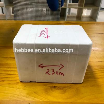 China High Quality EPS Beekeeping Products Env Queen Bee Hive for sale