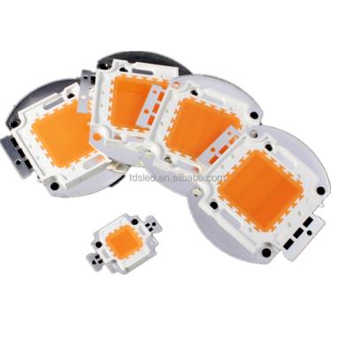 China Cool White Street Light / Bay Light / Flood Light / Floodlight High Power 80W COB Led Chip Module 7000K - 8000K for sale