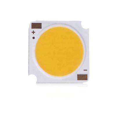 China Track Light / Down Light / Wall Ceiling Light 1917 1919 18W 25W COB Light / Led Chip 19mm Square Shape 45-48v 320mA for sale