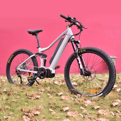 China Aluminum alloy cargo bike electric bicycle munro ebike 1000w fat for sale