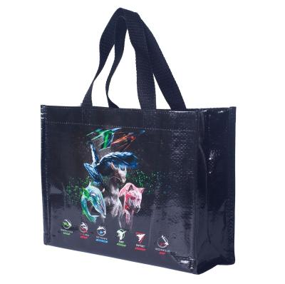 China New Style Wholesale High Quality Custom Handled Printed Eco Friendly Reusable PP Woven Packaging Ecology Shopping Bag for sale