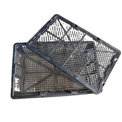 China Abalone Sale Spot Goods One Time Use HDPE Seafood /Abalone Basket With Best Price Selling for sale