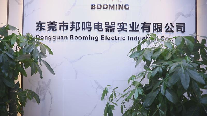 確認済みの中国サプライヤー - Dongguan Booming Electric Industrial Co., Ltd.