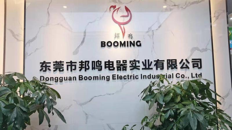 確認済みの中国サプライヤー - Dongguan Booming Electric Industrial Co., Ltd.