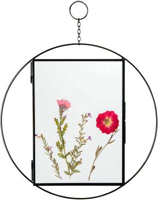 China Rainbows and Morden Lilies Pressed Flower Round Hanging Frames for Pressed Flowers Floating Frame Photo Frames 5x7