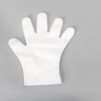 China Food Grade CPE Disposable Cleaning Gloves Environmental for sale