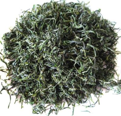 China Loose Leaf Chinese High Mountain Good Quality Green Tea, Zhejiang Slimming Green Tea for sale