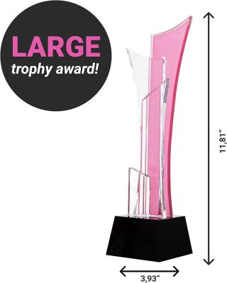 China Morden Trophy Award Made of Crystal Glass Transparent Acrylic Custom Event Trophy for sale