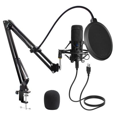 China USB Microphone USB Microphone Condenser D80 Recording Microphone with Stand and Ring Light for PC Karaoke Streaming Podcasting for Youtube for sale