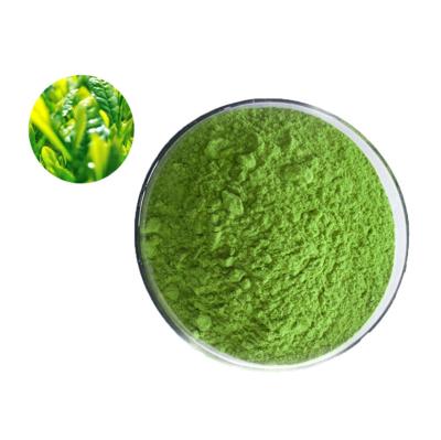 China Tea Drinks Ceremony Organic Japanese Matcha Powder Pulver Green Matcha Tea for sale