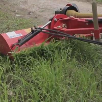 China Farms Agricultural Machinery PTO Hydraulic Edge Mulcher Flail Mower for sale