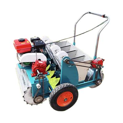 China Garlic Planter Gasoline Fertilizer Self Propelled Four Line Planter for sale