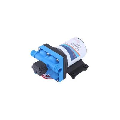 China 12v, 24v, 110v, 220v family homes diaphragm pump for sale