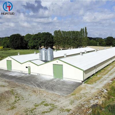 China Poultry Industrial Customized Standard Chicken Farming House Design For 10000 Chickens for sale