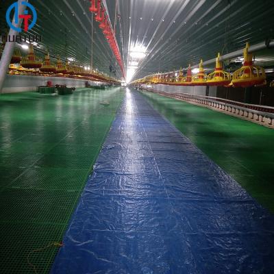 China Steel Building 1200 M2 Large Span Prefab Steel Structure Poultry Farm Shed For Broiler Fatten Chicken Poultry House for sale