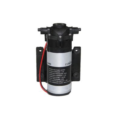 China 100G Drinking Water Treatment Whaleflo Household 24V 1.2LPM 70PSI RO Booster Pump for sale