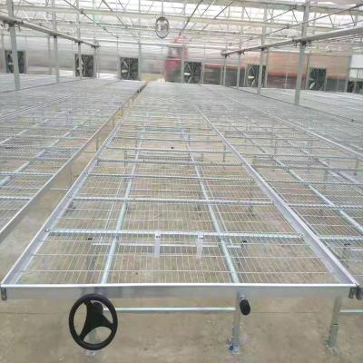 China Hydroponic Nursery Bed Seed Screen Vegetable Growing Greenhouse Equipment Agricultural Rolling Bench for sale