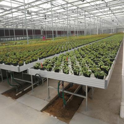 China Screen Grow Professional 8ft Greenhouse 4ftX Ebb And Flow Trays / Bench Rolling System / Hydroponic System for sale