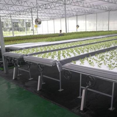 China Popular Screen Garden Agricultural Greenhouse System Seedling System ABS Tray Rolling Ebb and Flow Rolling Hydroponic Planting Bench for sale