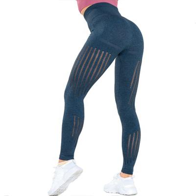 China Workout Gym Women Gaiters Breathable Seamless Yoga Pants for sale