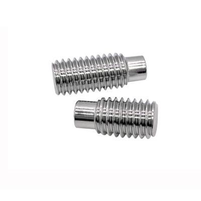 China Stainless Steel Dog Point Pan Adjustment Screw for sale