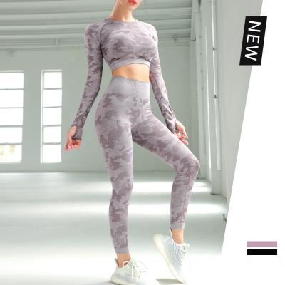 China Wholesale Anti-Static Akilex Women Two Piece Fall Fashion Fitness Sexy Seamless Running Shirt And Leggings Yoga Set for sale