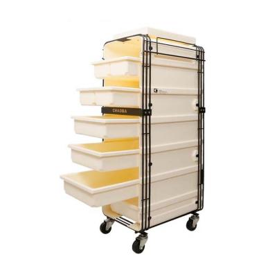 China CB-5522 Professional Plastic Multi Drawers Hand Held Hair Salon Trolley Cart Beauty Salon Furniture Hairdressing Trolley for sale