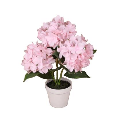 China With Hot Pink Big Flower Head Hydrangea Flower Bleached Real Touch Pot Layout Forever Preserved Hydrangeas for sale