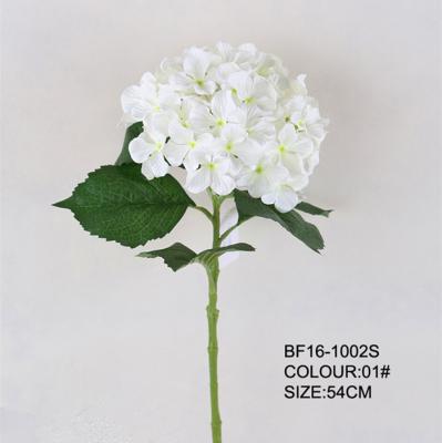 China Fashional Single Silk White Color Hydrangea Flower Artificial Silk Stem Hydrangea For Festival Gift for sale