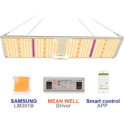 China Starting from seed led to grow light with 110w timer full spectrum for veg. and flower stages with APP control for sale