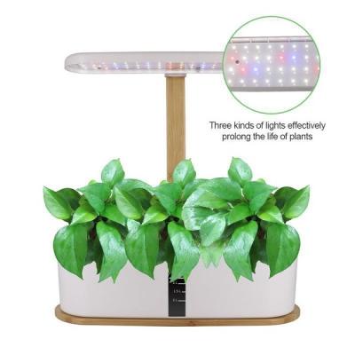 China Indoor Automatic Home Growing Equipment 15w 22w Irrigation&Hydroponics Farms Garden Seed Starter Kit Trays Hydroponic Systems for sale