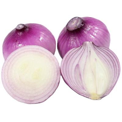 China New Corp. Hot Sale 2021 healthy fresh natural red onion onion for sale