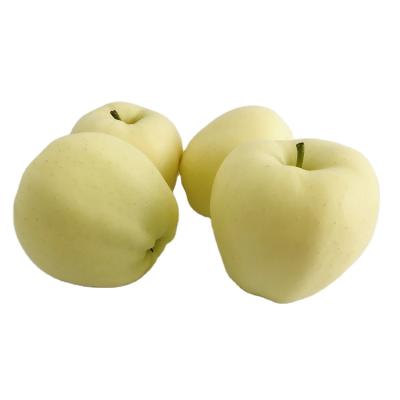 China Fresh fresh golden apple fruit price for sale for sale